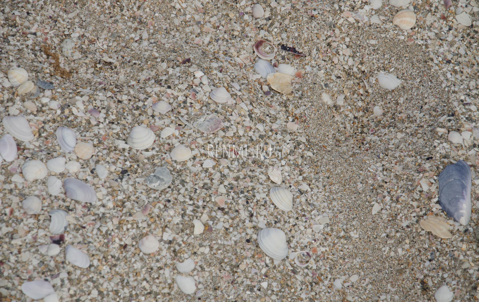 Какой песок на пляже в Мирном?. Фото Мирного